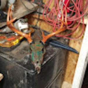 Meet your Posher, Steven